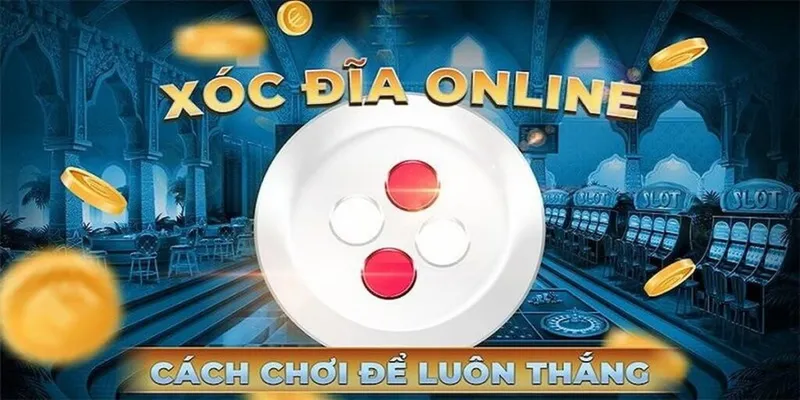 Bật Mí Cách Chơi Xóc Đĩa Đỉnh Cao Từ Chuyên Gia Sunwin